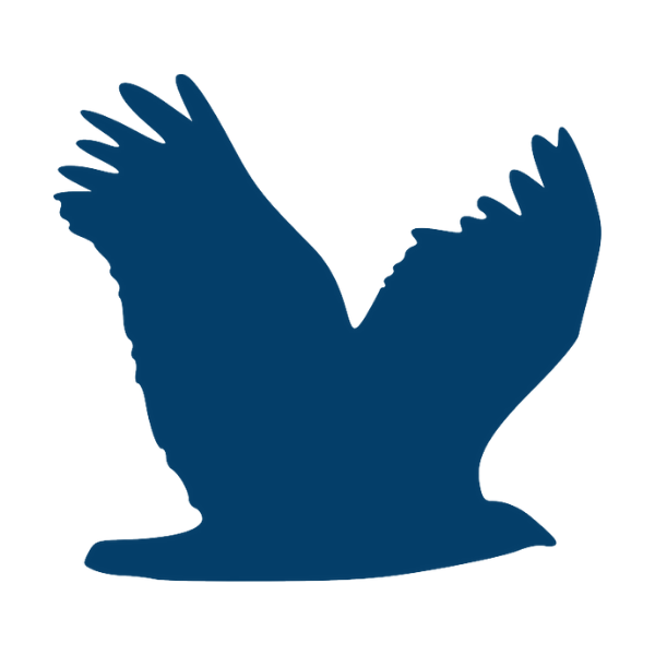 Eagle image representing Independence
