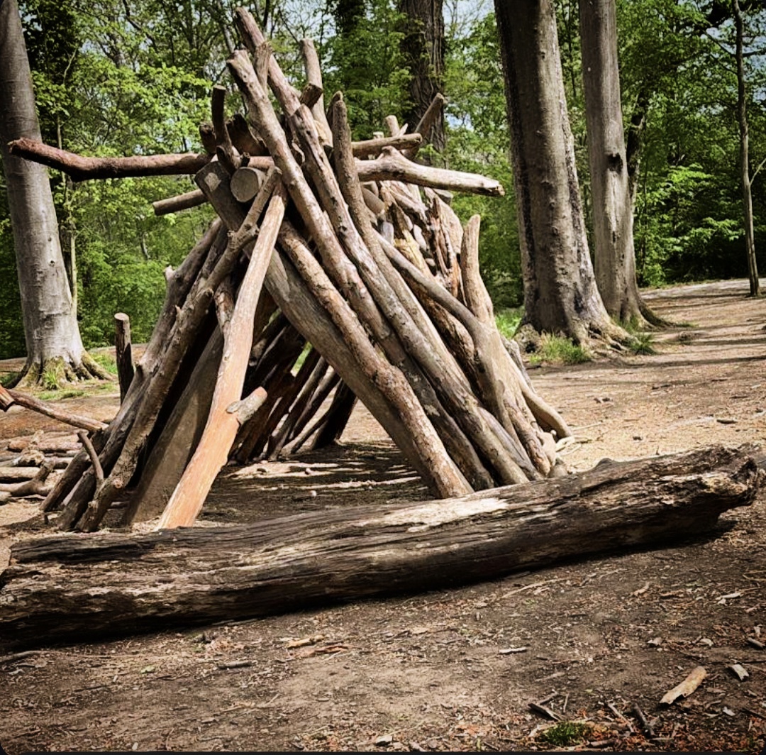 Den built of branches at Salcey Forest on Values Day